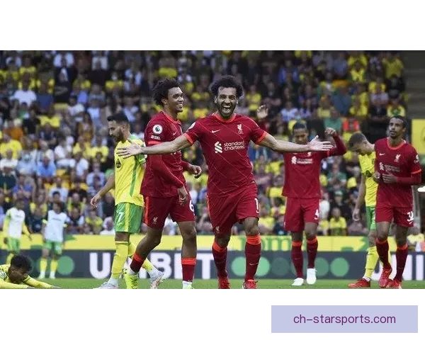 诺维奇足球俱乐部发展历程与英格兰足球文化的深刻影响分析