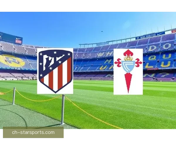 塞尔塔俱乐部发展历程与西甲联赛中的崭新定位探讨